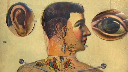 Appraisal: Physiological Mannequin