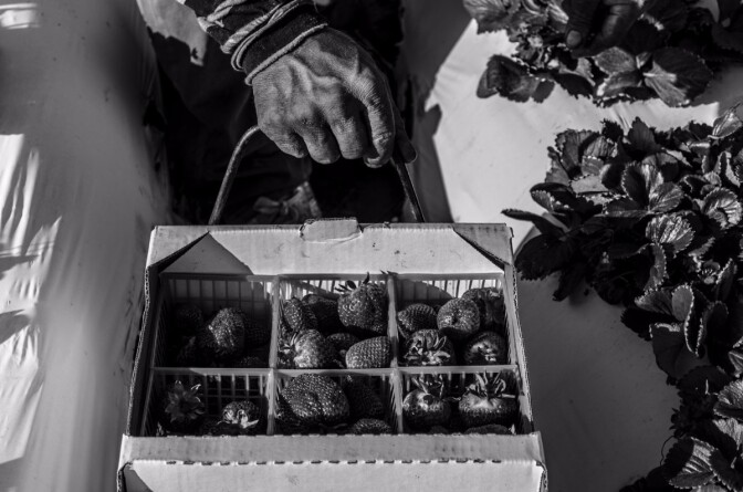 "The Strength of Resilience" by Antonio Arredondo Juarez is featured in the exhibition "E Pluribus Unum: Out of Many, One," at Studios on the Park in Paso Robles. | Courtesy of the artist