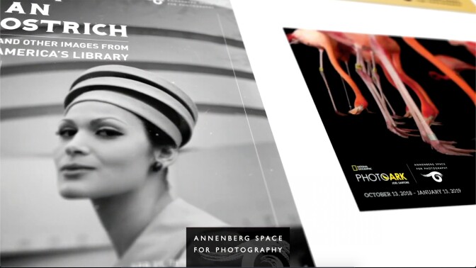 A screenshot of photographs shown at the Annenberg Space for Photography | Courtesy of the Annenberg Space for Photography