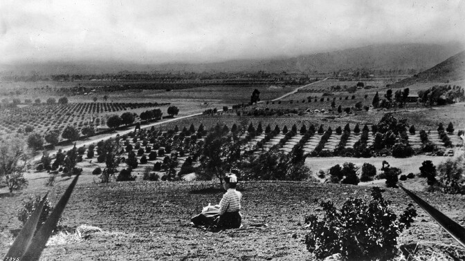 Wide Open Spaces header