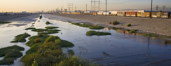 Los Angeles River with waterfowl