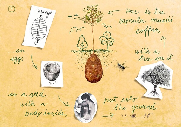 Photo by <a href="http://www.capsulamundi.it/progetto_eng.html">Capsula Mundi</a>