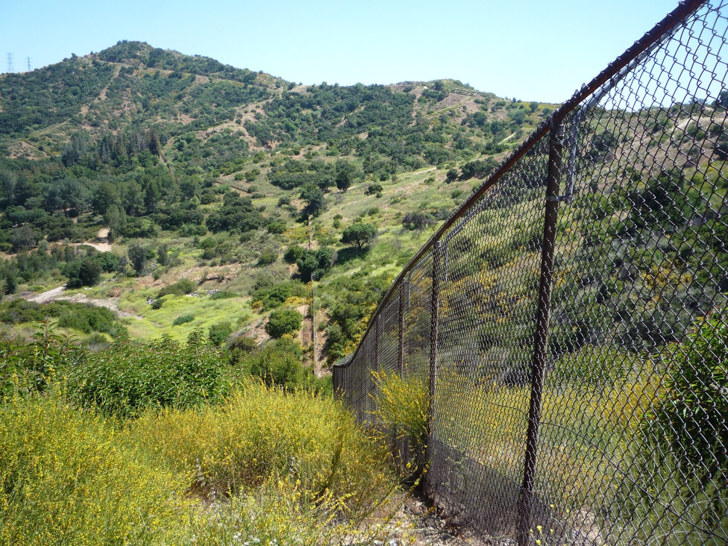 Views from the Descanso trail