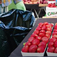 Meet the People Rescuing Food, Feeding Neighbors & Helping the Climate