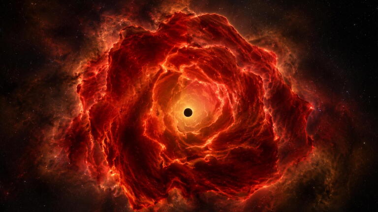 JWST May Have Discovered a New Cosmic Object: The Black Hole Star