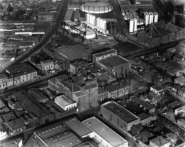 Aerial view of the Maier Brewing Company, nearly three decades after El Aliso fell to William Willoughby's axe. Courtesy of the Security Pacific National Bank Collection, Los Angeles Public Library.