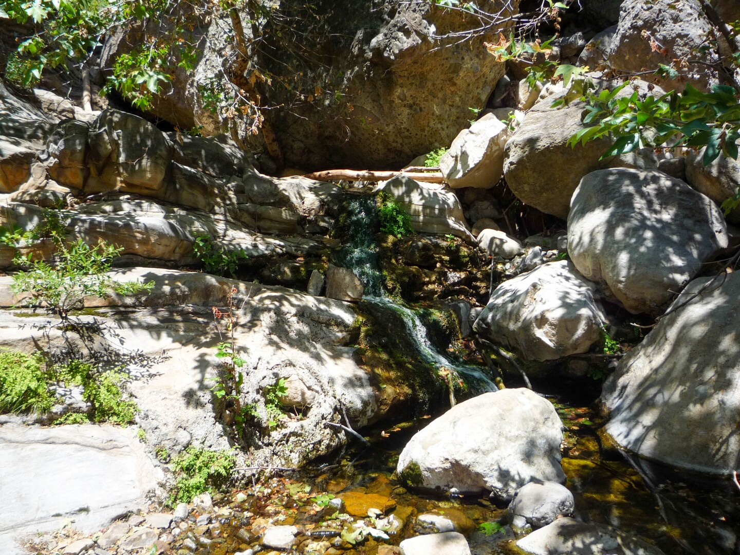 A stream at the Solstice Canyon hike in the Santa Monica Mountains.