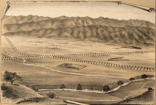 A detail from the above map showing an illustration of the Lankershim townsite. Courtesy of the UCLA Library Special Collections.