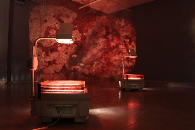 fuck_club_exhibit_projection_900.jpg