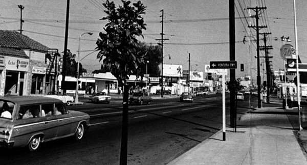 Surburbia in San Fernando Valley