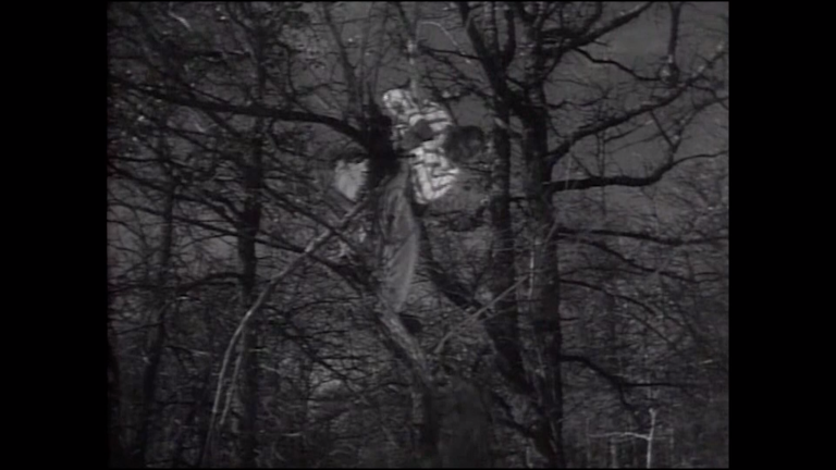 The Killer Shrews - Preview