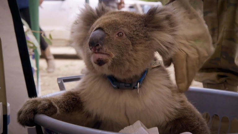 Australian Bushfire Rescue: Behind the Scenes