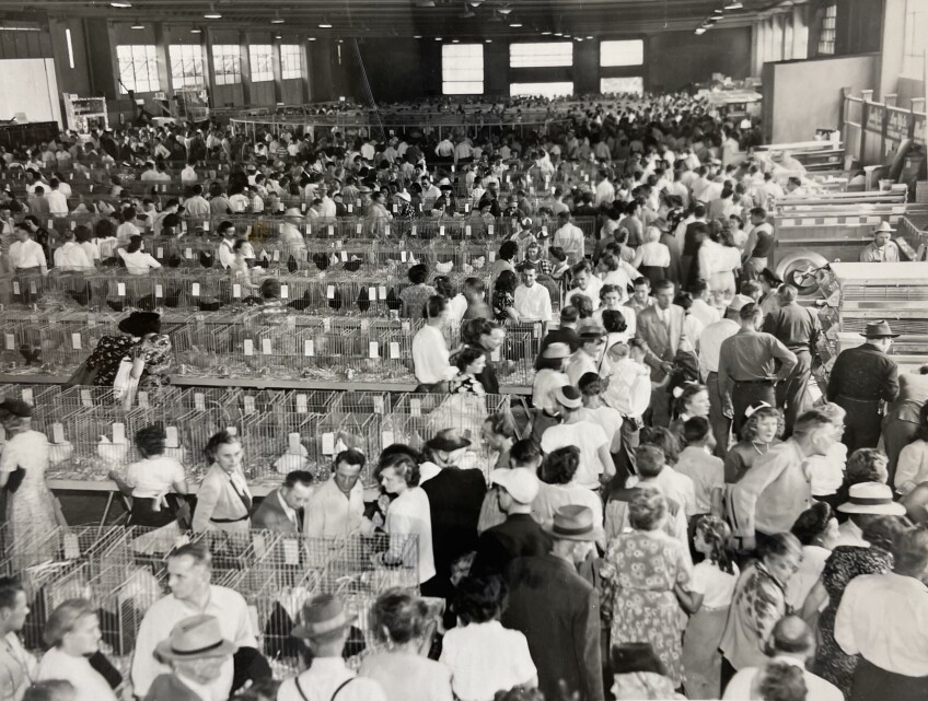 Attendees crowd around lines of cages filled with chickens and other poultry inside a large warehouse setting.