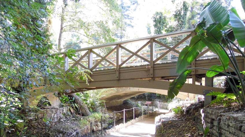 Fern Dell pedestrian bridge | Sandi Hemmerlein