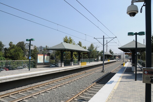 nela_goldline.jpg