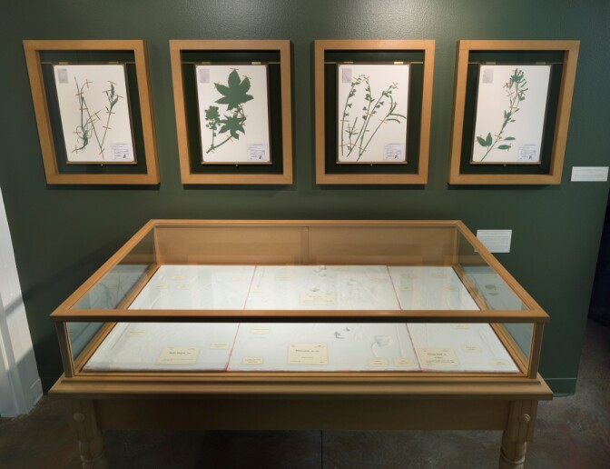 Jenny Yurshansky, "Blacklisted A Planted Allegory (Collection)," 2015