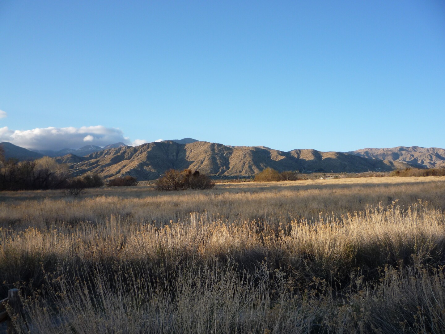 The landscape along the Desert Willow Trail at Big Morongo Canyon.
