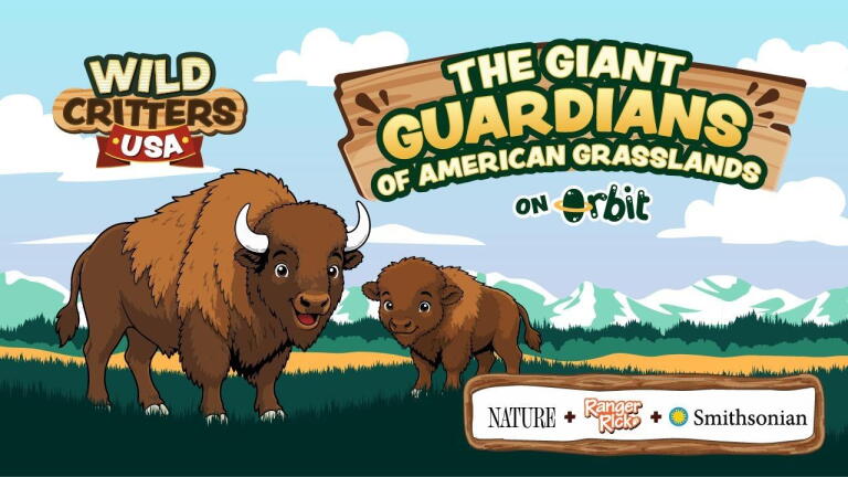 Wild Critters USA