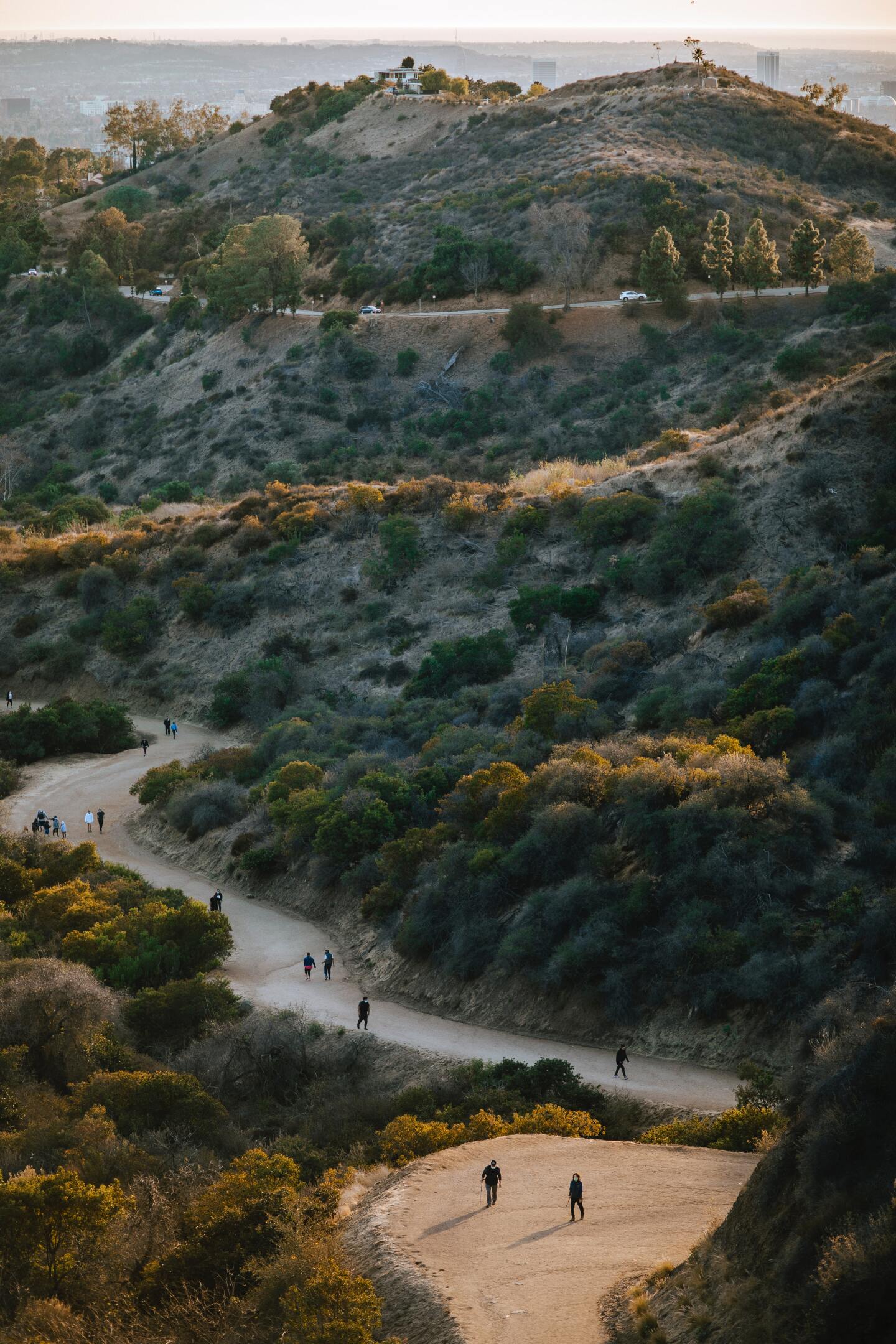 A winding hiking path and roadway at Griffith Park