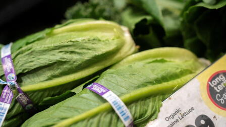Cyclospora, salmonella cases raise food safety concerns