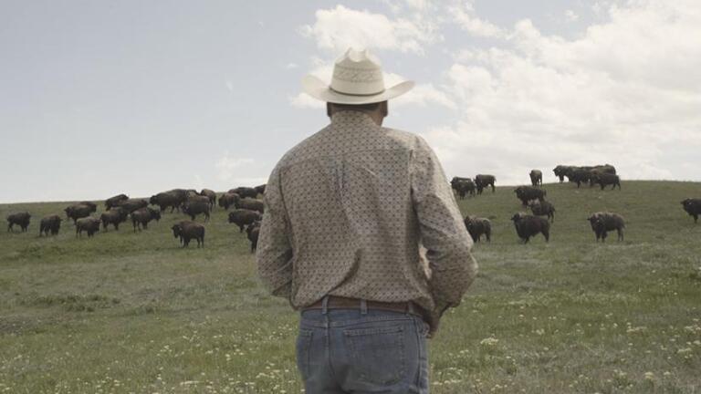 Bring Them Home Trailer