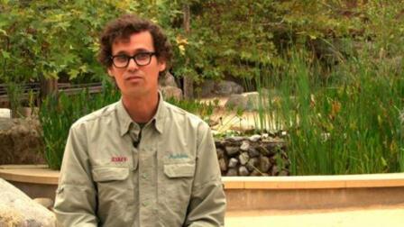 Jeff Chapman - A Gamut of Programs