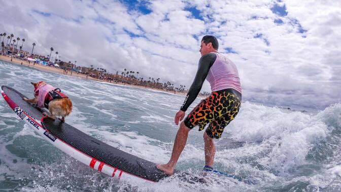 Surf-City-Dog-Contest-2019-203