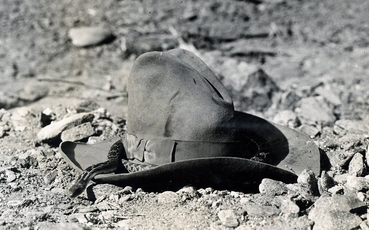 A kingsnake traverses a hat, Hidden Springs Canyon, 1930 | Lula Mae Graves photograph. Warner Graves Collection.