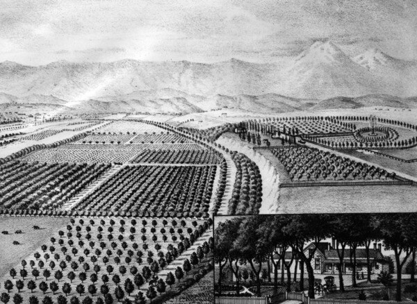 1880 lithograph