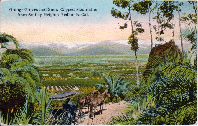 Orange Groves and Snow Capped Mountains from Smiley Heights, Redlands