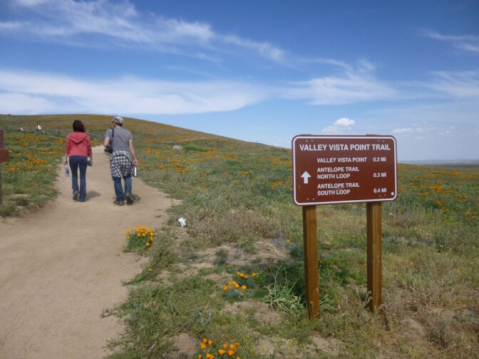 Antelope Valley California Poppy Reserve