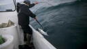 Why San Diego’s Commercial Fishing Fleet Is Disappearing
