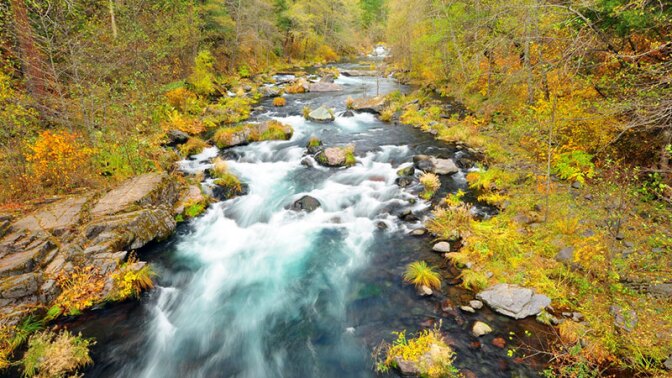 mccloud-10-27-16.jpg