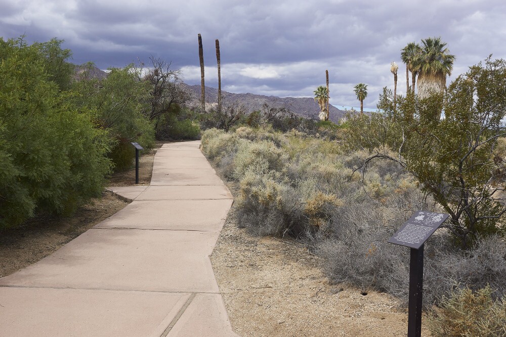 View of walkway and plaques at Joshua Tree National Park. | Photo: Ruth Nolan.