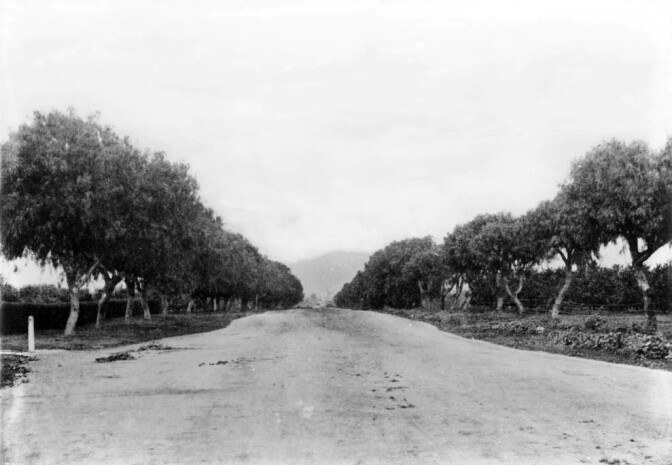 Sunset Boulevard at Normandie, ca. 1900. Courtesy of the USC Libraries - California Historical Society Collection.