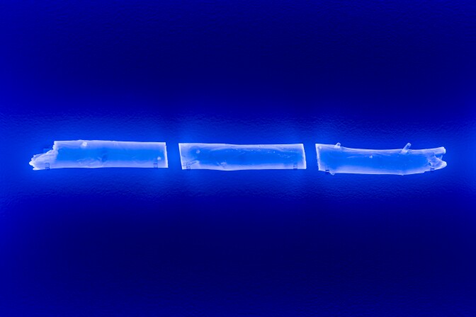 A close-up photo of Britt Ransom's piece shows more details on the segmented pieces of glowing bark. The light is a bright blue color.