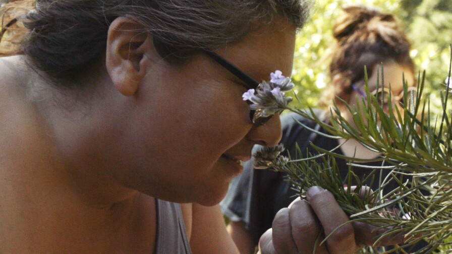 Syuxtun Collective inspecting plants at the Santa Barbara Botanical Garden.