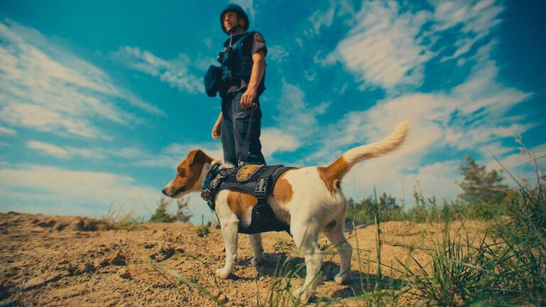 Preview of Saving the Animals of Ukraine