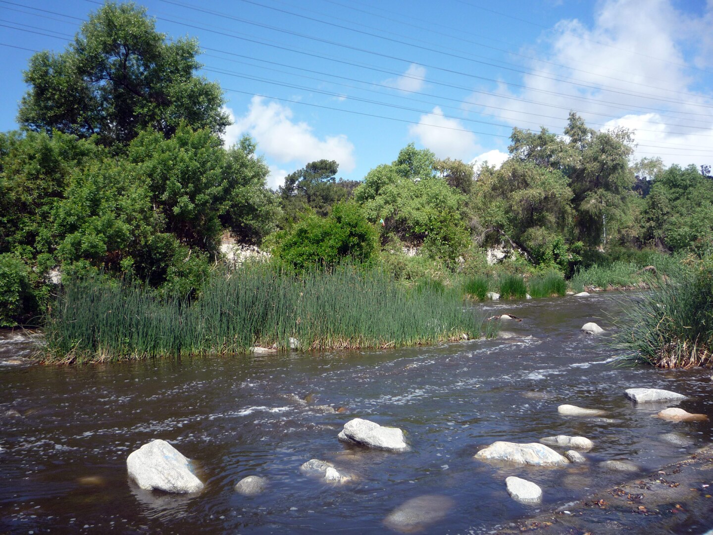 "Soft bottom" Glendale Narrows. | Sandi Hemmerlein
