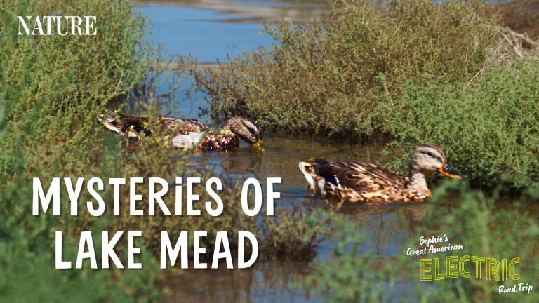 Lake Mead Mysteries | Great EV Road Chatper One