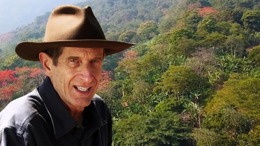 The Rainforest Nesei: Japanese Immigrants in the Amazon