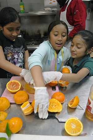 Learning more about fresh food | Courtesy of Food Forward and Rick Nahmias