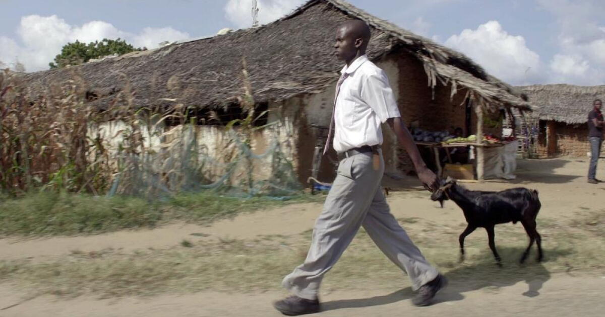 Watch Preview: A Goat for a Vote | Promo | Doc World Season | PBS SoCal