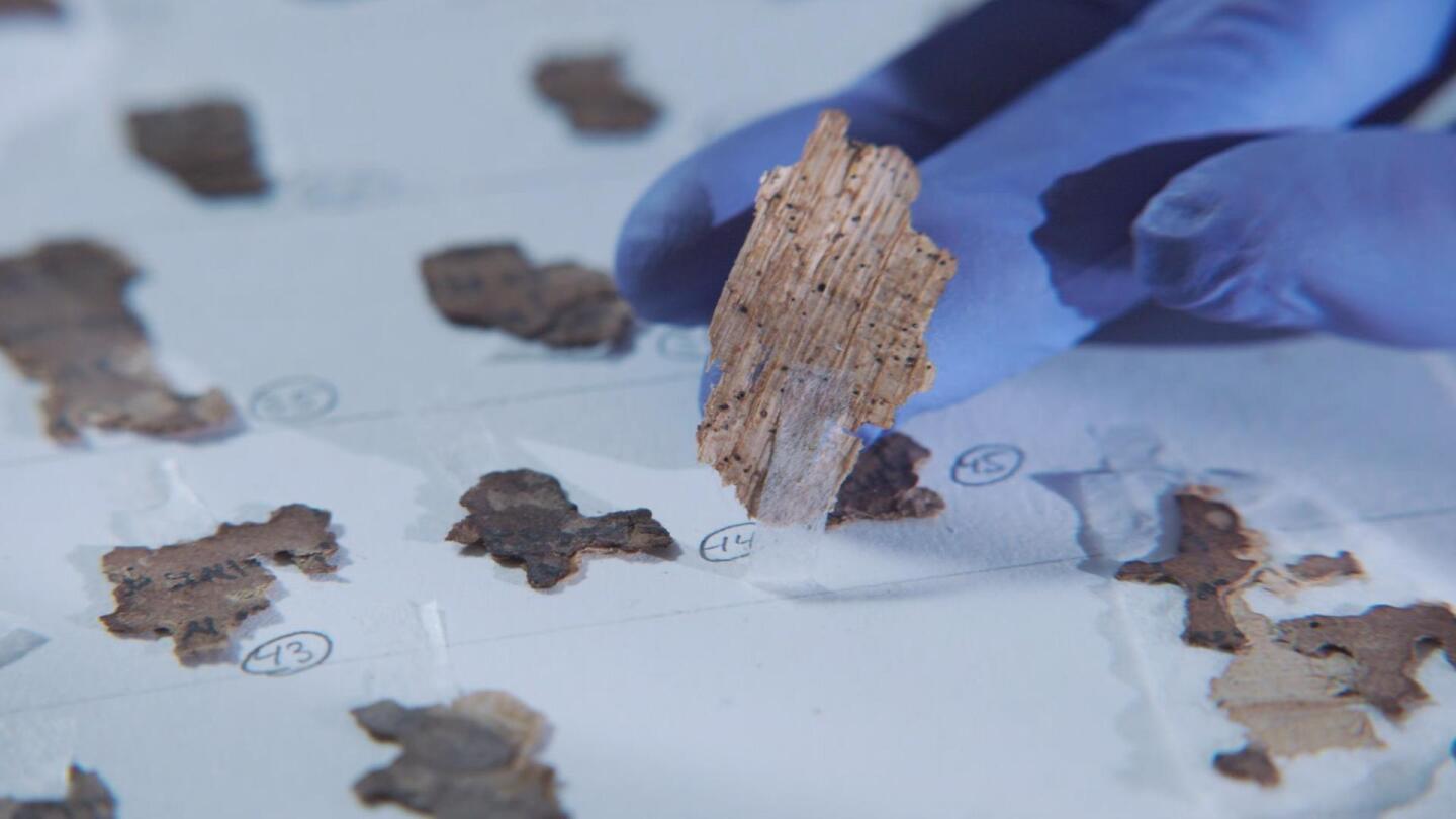 Newly surfaced fragments of the Dead Sea Scrolls.