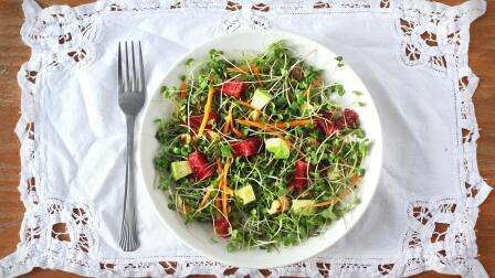 Microgreens Salad