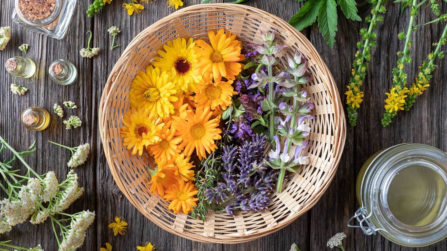 Fresh medicinal herbs and essential oils - ingredients to prepare a homemade skin product, top view. | iStock