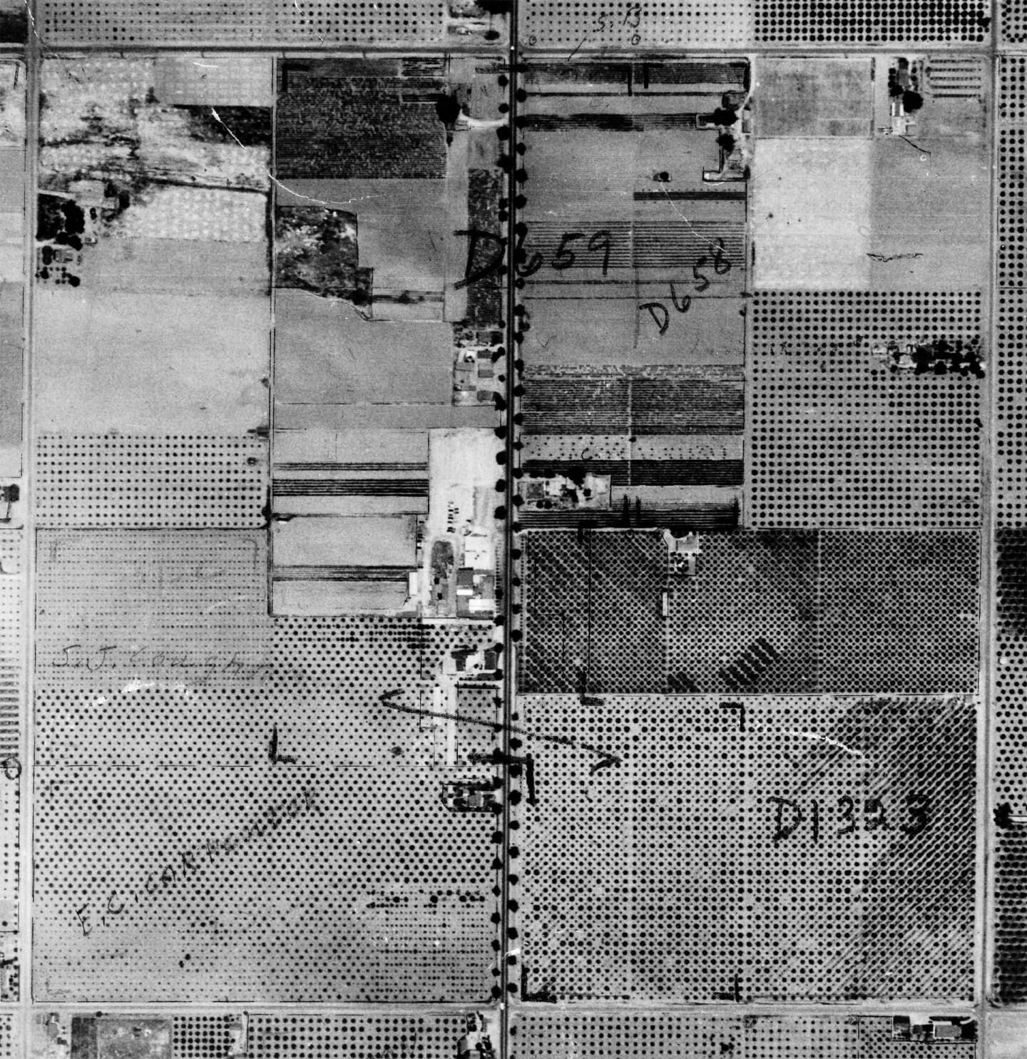 Aerial view of Knott's Berry Farm, 1937