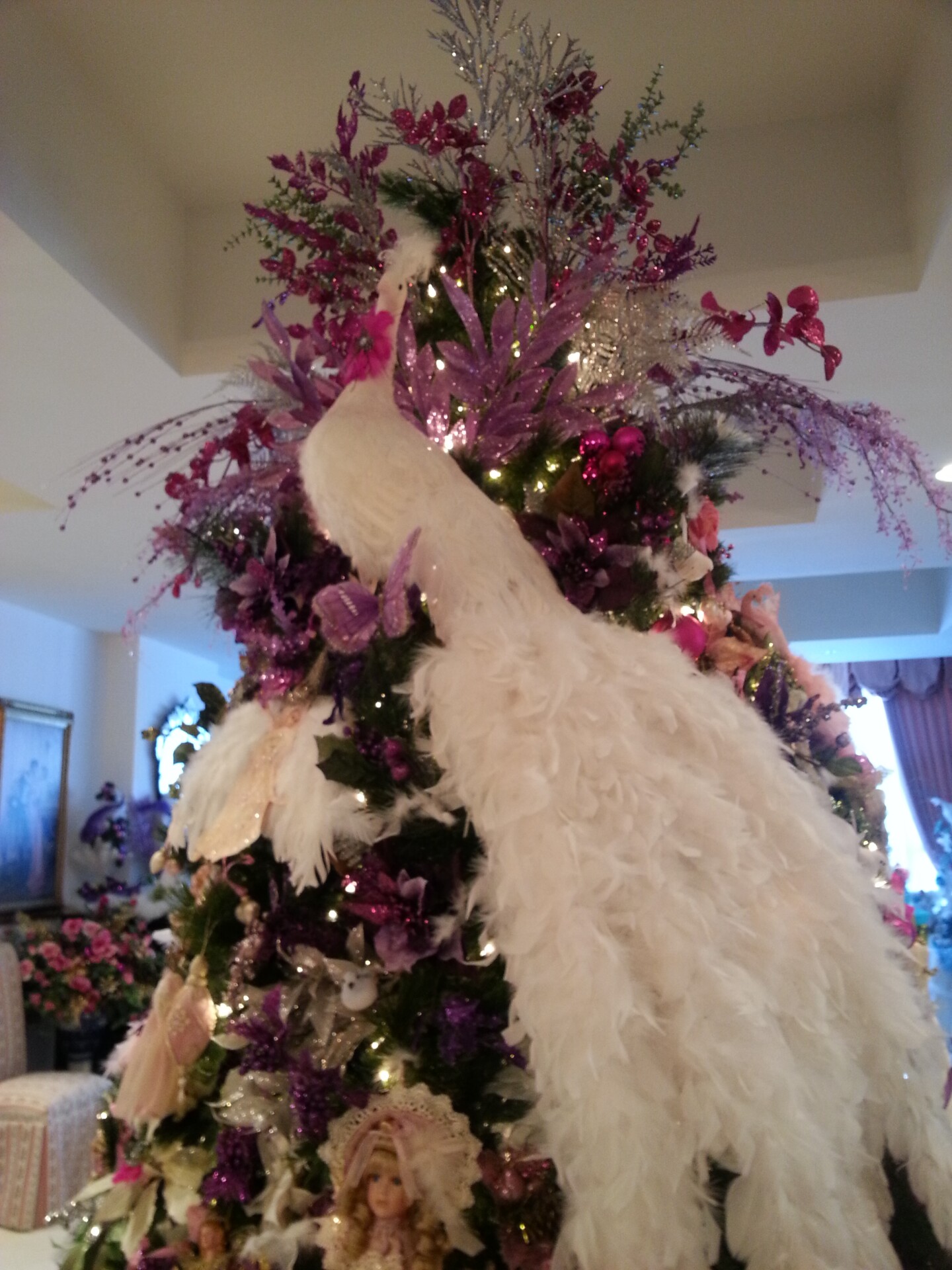 This year's tree.