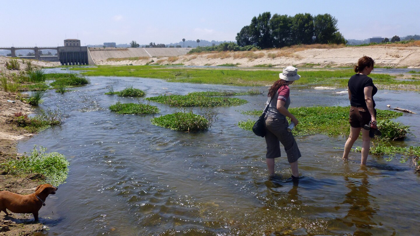 The Sepulveda Basin Recreation Area has a soft river bottom that you can squish your toes into. | Sandi Hemmerlein