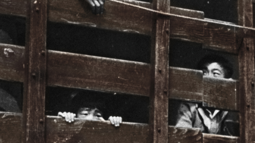 A photo of two children behind the slats of wooden panels, keeping them detained. One of the children, is peering through the breaks between the slats, with their hands gripping on the wooden board. They have a saddened and fearful expression on their face.